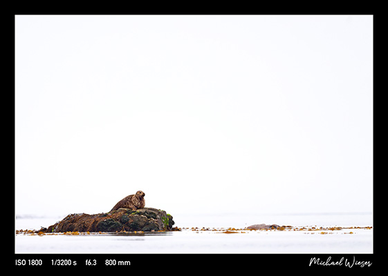 Finding North